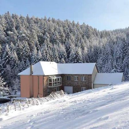 Gite GRETEL de la Ferme du Schneeberg Wangenbourg-Engenthal Extérieur photo
