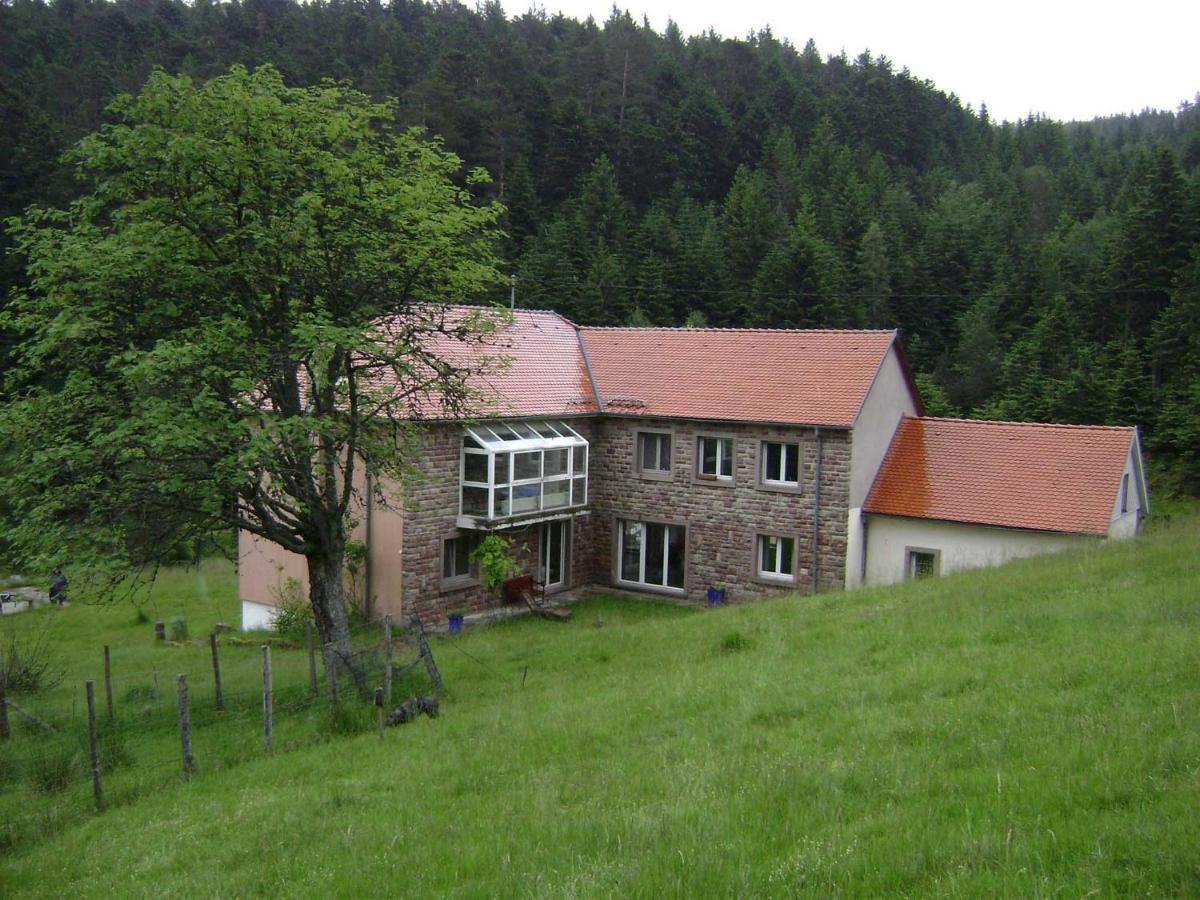 Gite GRETEL de la Ferme du Schneeberg Wangenbourg-Engenthal Extérieur photo