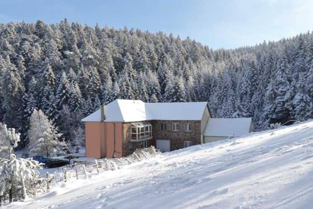 Gite GRETEL de la Ferme du Schneeberg Wangenbourg-Engenthal Extérieur photo