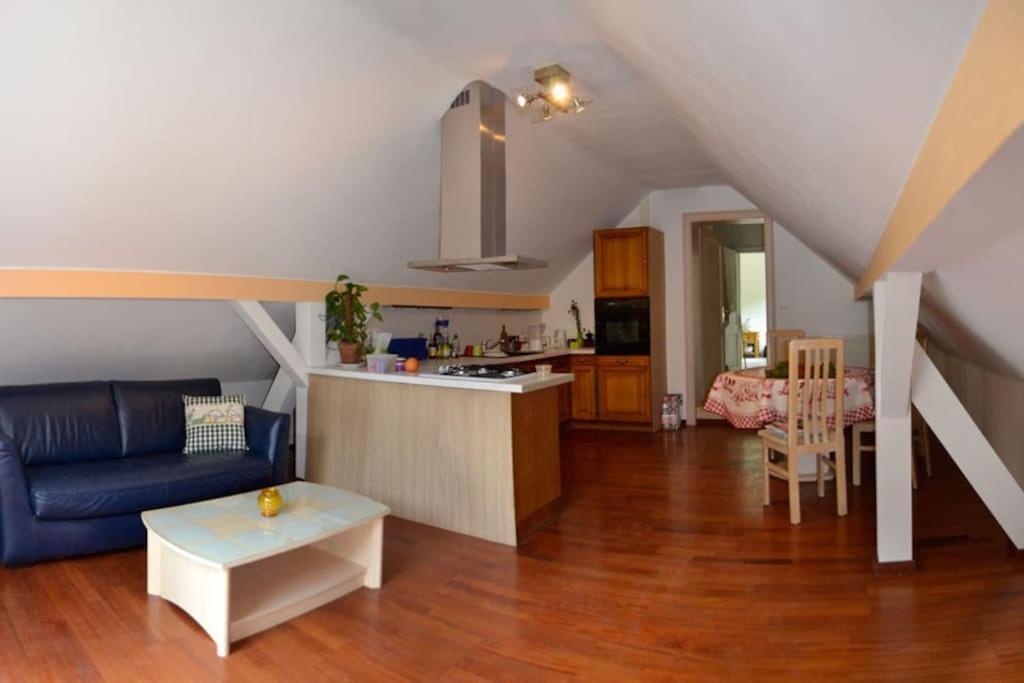 Gite GRETEL de la Ferme du Schneeberg Wangenbourg-Engenthal Extérieur photo