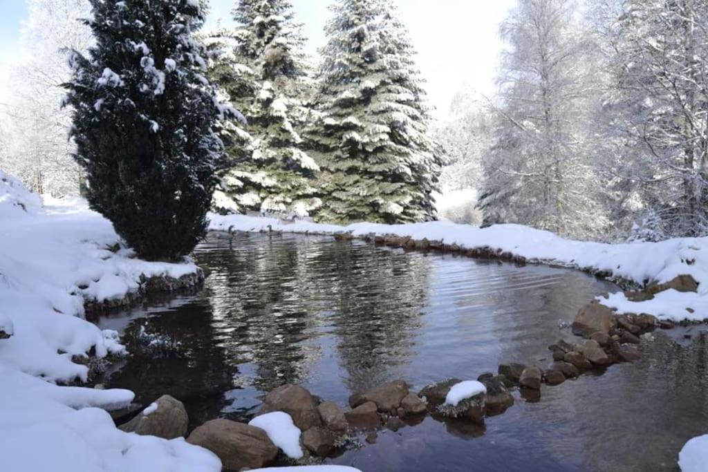 Gite GRETEL de la Ferme du Schneeberg Wangenbourg-Engenthal Extérieur photo