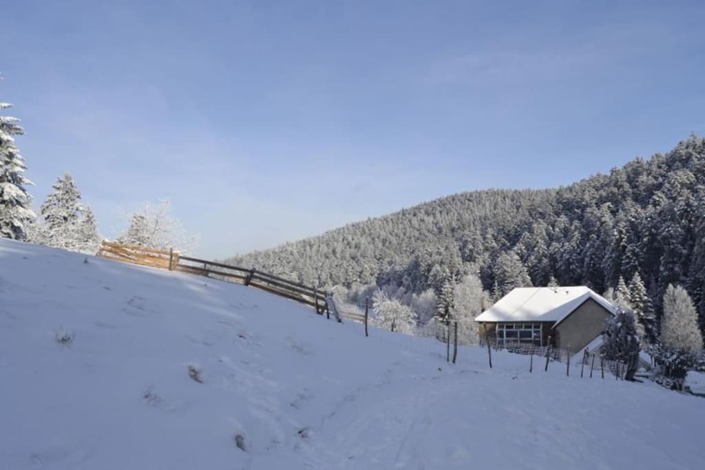 Gite GRETEL de la Ferme du Schneeberg Wangenbourg-Engenthal Extérieur photo